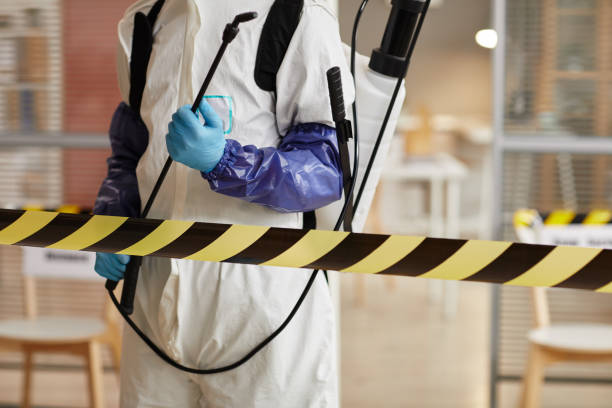 Professional Sewage Cleanup technician working in Atwood, IL